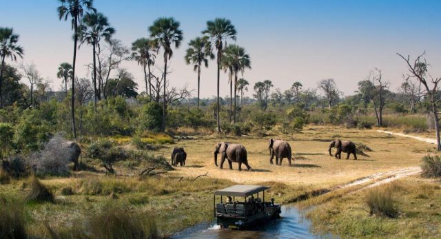 Safari & Zanzibar Escape - be Inspired - Itinere